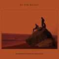 the album cover for Blank Range - Marooned With The Treasure