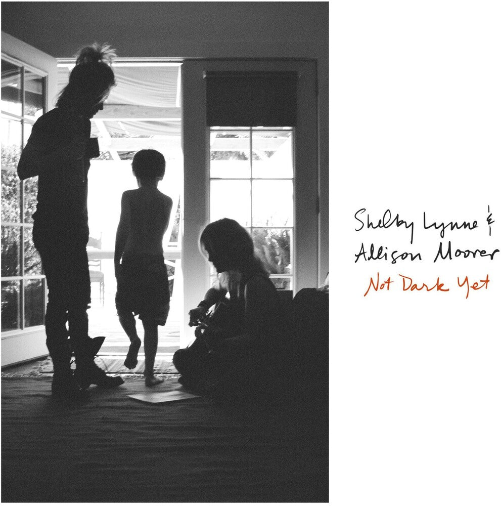 the album cover for Shelby Lynne - Not Dark Yet