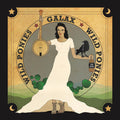 the album cover for Wild Ponies - Galax