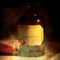 the album cover for Blackfield - Blackfield