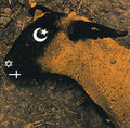 the album cover for Ministry - Animositisomina