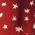 the album cover for Citizen - As You Please [Clear w/ Black Swirl LP]