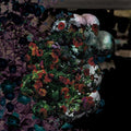 the album cover for Blondes - Warmth