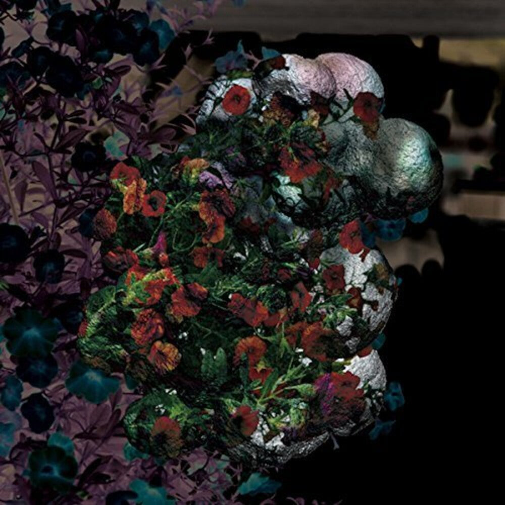 the album cover for Blondes - Warmth