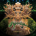 the album cover for Shpongle - Codex VI