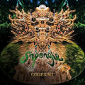 the album cover for Shpongle - Codex VI