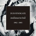 the album cover for Dub Syndicate - Ambience In Dub [With Booklet]