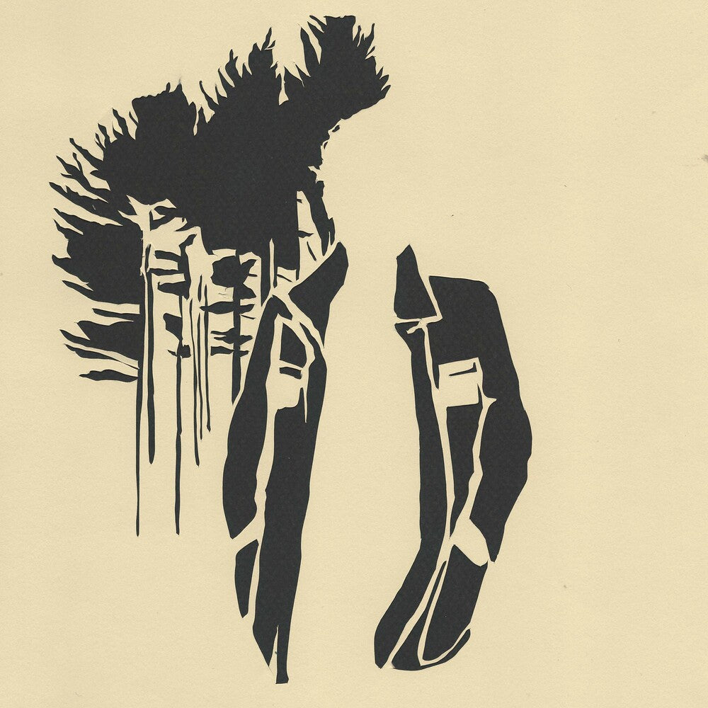 the album cover for Henry Jamison - Wilds