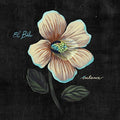 the album cover for Buho - Balance
