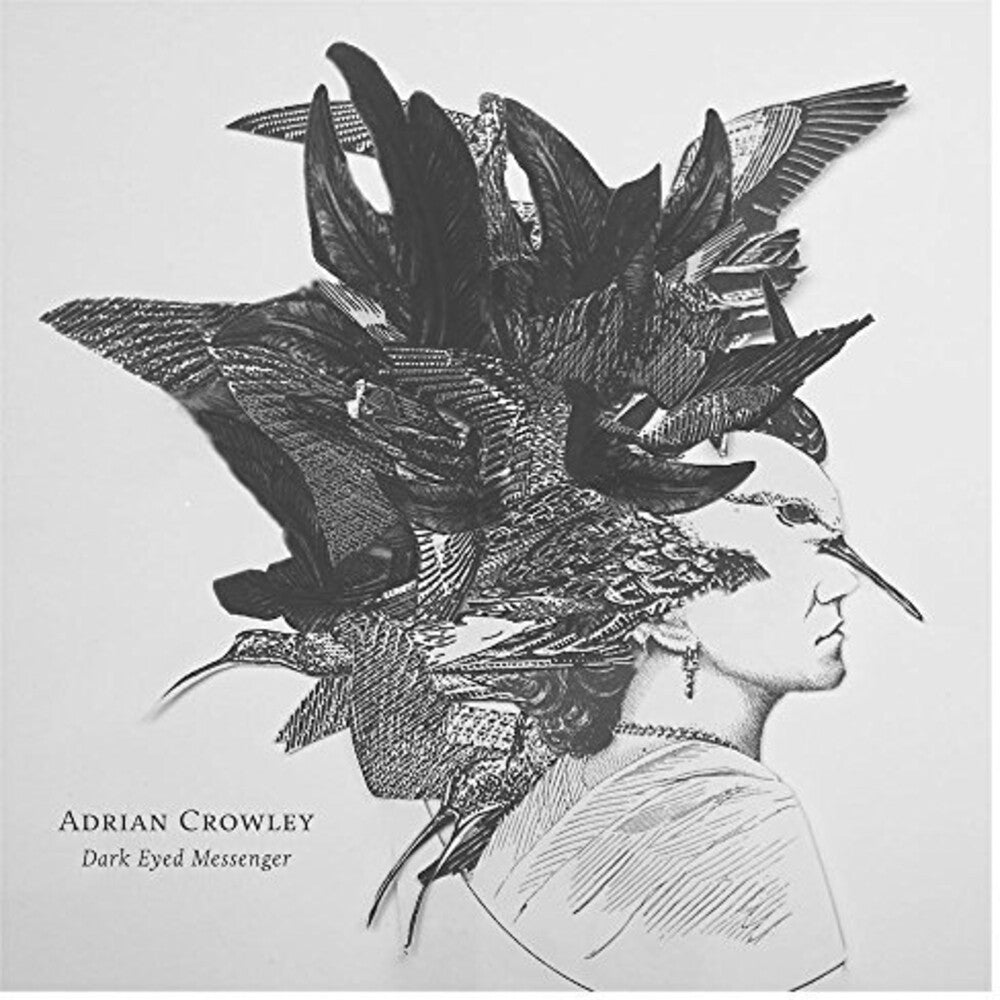 the album cover for Adrian Crowley - Dark Eyed Messenger