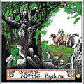 the album cover for Tusmorke - Bydyra