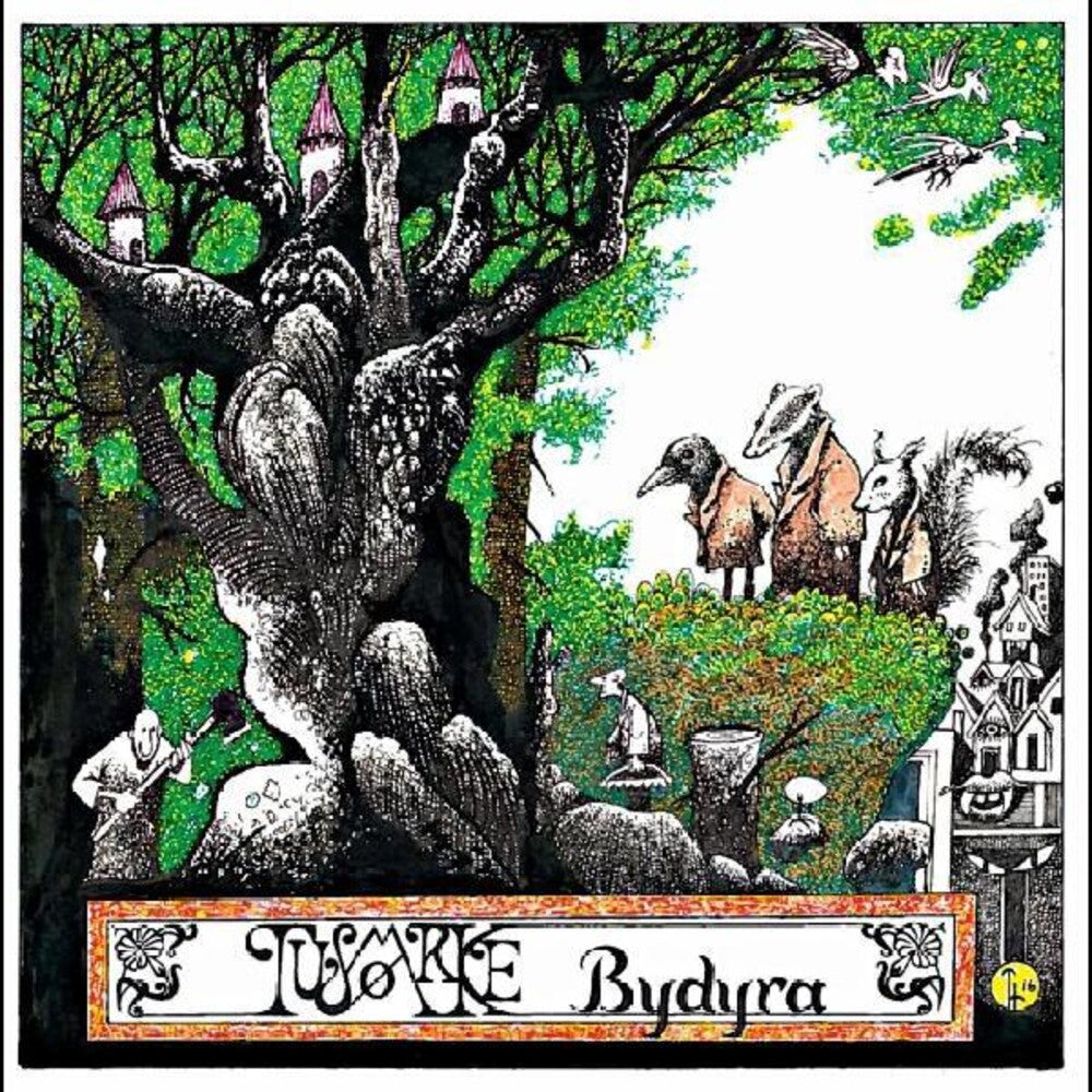 the album cover for Tusmorke - Bydyra