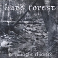 the album cover for Hate Forest - To Twilight Thickets