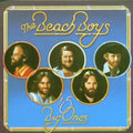 the album cover for The Beach Boys - 15 Big Ones / Love You