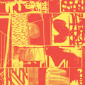 the album cover for Saroos - Tardis
