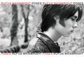 the album cover for Rufus Wainwright - Poses [2 LP]