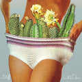 the album cover for White Denim - Stiff
