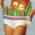 the album cover for White Denim - Stiff [Vinyl]