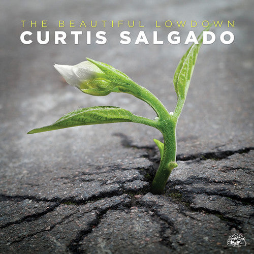 the album cover for Curtis Salgado - The Beautiful Lowdown