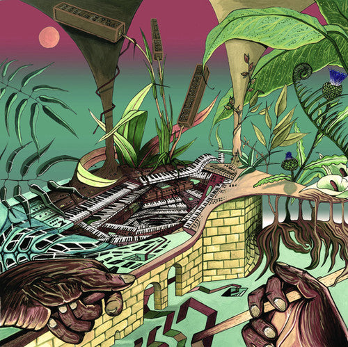 the album cover for Nu Guinea - Tony Allen Experiments (Afrobeat Makers 3)