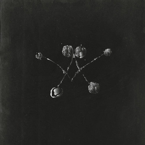 the album cover for Waterstrider - Nowhere Now [Vinyl]