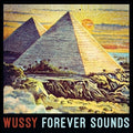 the album cover for Wussy - Forever Sounds