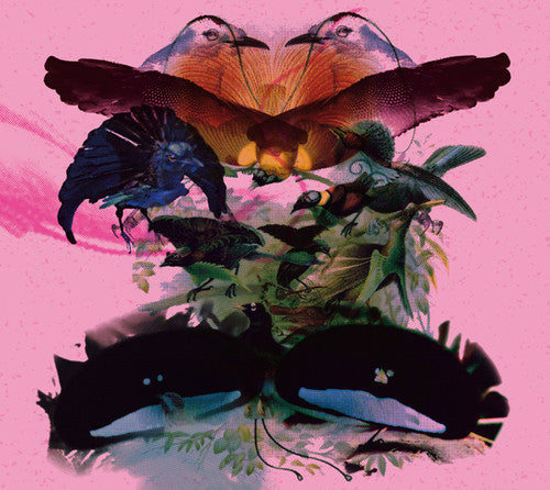 the album cover for Leon Vynehall - Rojus (Designed to Dance)