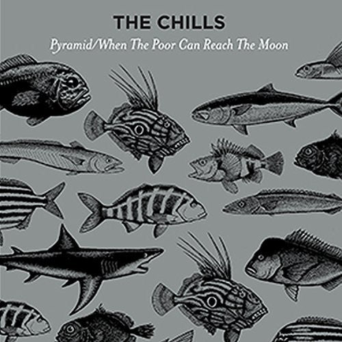 the album cover for The Chills - Pyramid / When The Poor Can Reach The Moon [Vinyl Single]