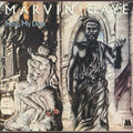 the album cover for Marvin Gaye - Here My Dear [180 Gram]