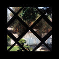 the album cover for Psychic Temple - III