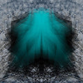 the album cover for Lake Of Violet - Startling Testimony of Plumb Lines