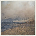 the album cover for Brass Bed - In the Yellow Leaf