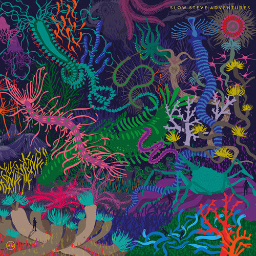 the album cover for Slow Steve - Adventures