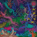 the album cover for Slow Steve - Adventures