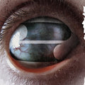 the album cover for Filter - Crazy Eyes