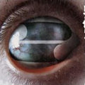 the album cover for Filter - Crazy Eyes [Vinyl]