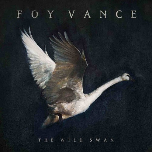 the album cover for Foy Vance - The Wild Swan