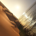 the album cover for Mark Pritchard - Under The Sun [Vinyl]