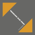 the album cover for Trembling Blue Stars - Fast Trains & Telegraph Wires [Limited Edition] (Org) (Wsv)
