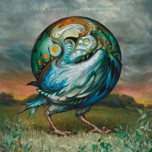 the album cover for Unknown Artist - 7" Split