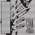 the album cover for Silk Road Assassins - Reflection Spaces