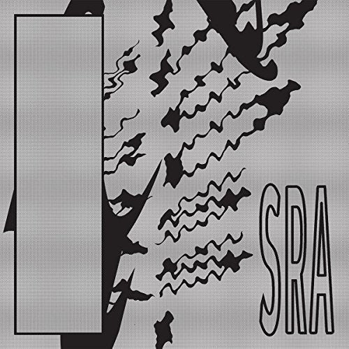 the album cover for Silk Road Assassins - Reflection Spaces