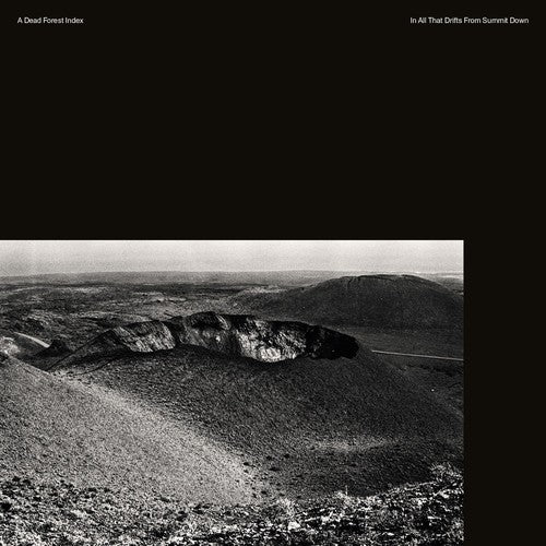 the album cover for Dead Forest Index - In All That Drifts From Summit Down [Download Included]