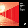 the album cover for Captain Supernova - Doors Of Perception