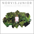 the album cover for Norvis Junior - Pyrrhic Victory Disc 03