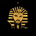 the album cover for Egyptian Lover - 1983-1988 [Vinyl Box Set]