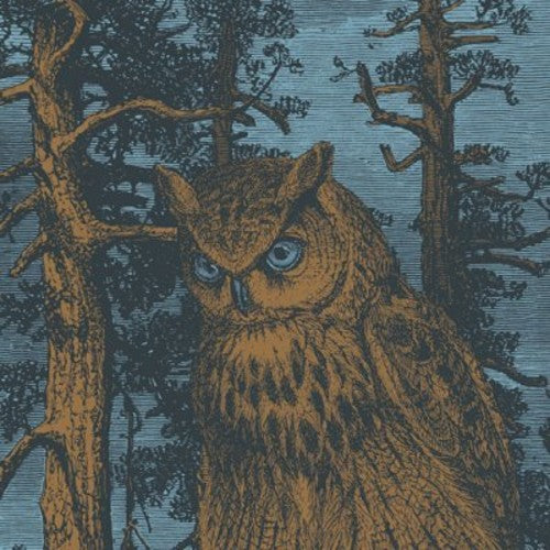 the album cover for Nadja - Queller (Second Edition) [Limited Edition]
