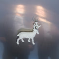 the album cover for Buck Gooter - Stainless Steel Mirrors