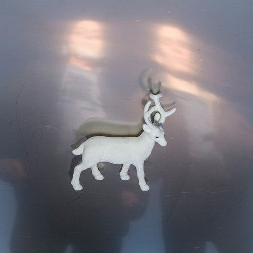 the album cover for Buck Gooter - Stainless Steel Mirrors