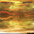 the album cover for New Zion Trio & Cyro Baptista - Sunshine Seas